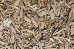 biomass boilers Sparnon